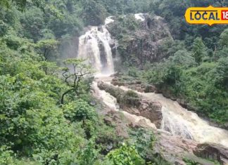 छत्तीसगढ़ में 100 फीट ऊंचाई से गिरने वाले इस वाटरफॉल का हर कोई दीवाना