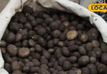 इस सब्जी के आगे फेल है मटन, कीमत सुनकर खिसक जाएगी पैरों की जमीन