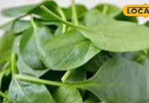 You will be surprised to hear the benefits of this green vegetable! So, definitely include it in your diet – Bharat.one हिंदी