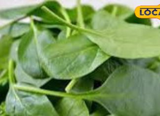 You will be surprised to hear the benefits of this green vegetable! So, definitely include it in your diet – Bharat.one हिंदी