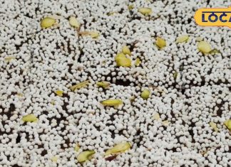 उत्तराखंड की इस मिठाई ने मुरादाबाद में मचाई धूम, जमकर खरीद रहे लोग