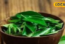 स्वाद ही नहीं सेहत भी बनाता है ये हरा पत्ता, आयुर्वेद में है खास महत्व, कई बीमारियों में लाभकारी