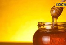 इस मीठी चीज को खाने से घट सकता है वजन…दूध के साथ किया इस्तेमाल तो बढ़ेगा वेट