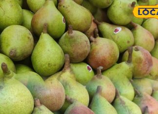 सेब से भी फायदेमंद है बारिश में मिलने वाला यह फल, कमजोरी को कर देता है छूमंतर