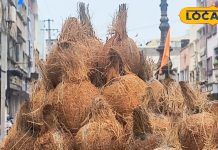 Coconuts are left on Rakshabandhan, so use them like this, your health will become twice as healthy. – Bharat.one हिंदी