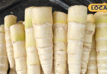 साल में सिर्फ 10 दिन मिलती है यह सब्जी, स्वाद के आगे चिकन-मटन भी फेल; फायदे गिनते-गिनते थक जाएंगे आपThe price is less than chicken but it makes even mutton fail in taste. This vegetable is available only 10 days a year.