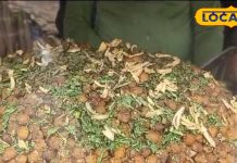 गजब! छोले भटूरे के दीवानों के लिए बेस्ट है ये दुकान, एक बार खाएंगे तो कहेंगे-वाह कमाल है!