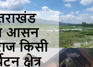 यह आसन बैराज किसी पर्यटन क्षेत्र से कम नहीं! यहां 6 माह तक ठहरते हैं विदेशी साइबेरियन पक्षी, जानें इसकी खासियत