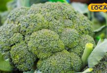 UP के इस रेस्टोरेंट में ग्राहकों के लिए उगाई जाती सब्जी, जानें इसकी खासियत