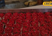 काजू से बनी है यह लाजवाब है ‘शाही गुलाब मिठाई’, स्वाद ऐसा कि जीभ लपलपा जाए, जानें रेसिपी