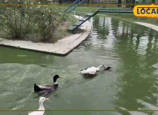 मनमोह लेगी यूपी के इस पार्क की खूबसूरती, गार्डन के अंदर जलीव जीव बने हैं आकर्षण का केंद्र