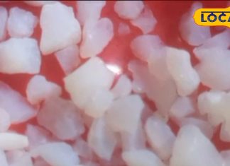 दवाई का बाप है ये औषधि, अंग-अंग में भरती है ताकत, शरीर बन जाता है फौलादी