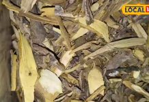 कमाल की है यह औषधि, शरीर को बना सकती है ताकतवर, सूजन-शुगर हो जाएगी गायब!