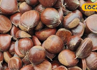 कांटेदार फल वाला चमत्कारी पेड़, 600 साल है आयु! डायबिटीज-गठिया का रामबाण इलाज