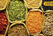 सेहत के लिए कौन सी दाल होती है ज्यादा फायदेमंद? किसके सेवन से नहीं बनती गैस? एक्सपर्ट से जानें सब