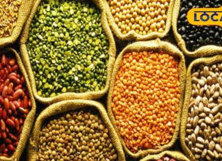 सेहत के लिए कौन सी दाल होती है ज्यादा फायदेमंद? किसके सेवन से नहीं बनती गैस? एक्सपर्ट से जानें सब