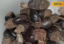 पेट और सांस की बीमारियों के लिए उपयोगी है यह औषधि, स्किन प्रॉब्लम में भी मिलती है राहत