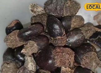 पेट और सांस की बीमारियों के लिए उपयोगी है यह औषधि, स्किन प्रॉब्लम में भी मिलती है राहत
