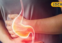 बरसात में खूब फैलती ये बीमारी,कर लें बचाव की तैयारी,नहीं तो जाना पड़ेगा अस्पताल