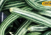 डायबिटीज-बीपी से छुटकारा दिलाएगी सांप जैसी दिखने वाली ये सब्जी, भारत के बाहर भी है डिमांड