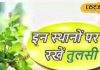 घर में इन 3 जगहों पर भूलकर न लगाएं तुलसी पौधा, इस देवता से तो दूर ही रखें, वरना लक्ष्मी होंगी नाराज