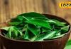 Is it green leaf or magic, it makes hair black and thick, also a panacea for dandruff. – Bharat.one हिंदी