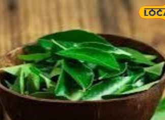 Is it green leaf or magic, it makes hair black and thick, also a panacea for dandruff. – Bharat.one हिंदी