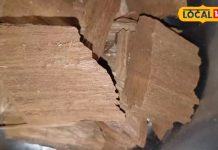 खून साफ करना हो, या डायबिटीज को हो भगाना, इस औषधि के इस्तेमाल से दूर हो जाएगी हर बीमारी!