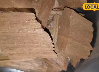 खून साफ करना हो, या डायबिटीज को हो भगाना, इस औषधि के इस्तेमाल से दूर हो जाएगी हर बीमारी!