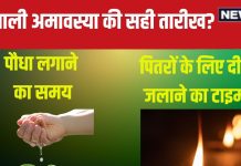 Hariyali Amavasya 2024: कब है हरियाली अमावस्या, 3 या 4 अगस्त? किस समय लगाएं पौधे, पितरों को दीप जलाने का टाइम क्या