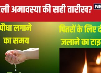 Hariyali Amavasya 2024: कब है हरियाली अमावस्या, 3 या 4 अगस्त? किस समय लगाएं पौधे, पितरों को दीप जलाने का टाइम क्या