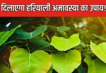 हरियाली अमावस्या पर इस ख़ास पेड़ की पूजा से मिलेगा मोक्ष, दूर होंगे ग्रह दोष, इन नियमों का रखें ध्यान