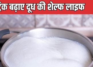 बार-बार फट जाता है दूध? शेल्फ लाइफ बढ़ाने के लिए आजमाएं 1 खास ट्रिक, Milk में मलाई भी बनेगी भरपूर