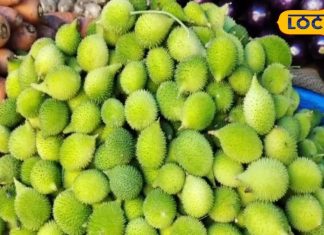 बरसात में कुछ ही दिन मिलता है यह फल, इन बीमारियों के लिए रामबाण