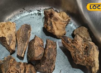 किसी जादू से कम नहीं है ये आयुर्वेदिक औषधि, दर्द,यूरिक एसिड से लेकर कई बीमारियों का करता है खात्मा!