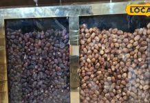 यहां है खजूर की एक से बढ़कर एक वैरायटी, देख कर रह जाएंगे दंग, कीमत भी वाजिब – Bharat.one हिंदी