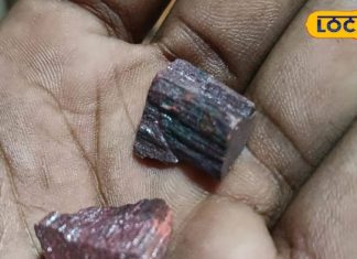 ये है आयुर्वेद का जादुई पत्थर, अस्थमा समेत शरीर की कमजोरी को करता है दूर