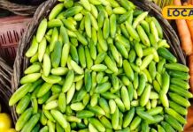 गर्मियों में जरूर खाएं कुंदरू की सब्जी, मिलते हैं ये लाजवाब फायदे, वजन घटाने में भी कारगर – Bharat.one हिंदी