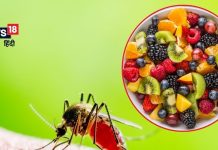 पपीते के पत्ते, मेथी के बीज… ये 8 चीजें डेंगू में साबित होगी वरदान