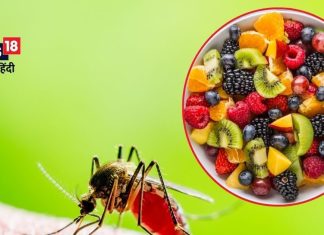 पपीते के पत्ते, मेथी के बीज… ये 8 चीजें डेंगू में साबित होगी वरदान