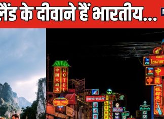 न टिकट हुई सस्ती, न होटल हैं फ्री, फिर क्यों धड़ाधड़ बैंकॉक भाग रहे हैं इंडियन? जानें क्या है माजरा