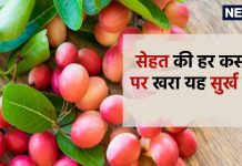 छोटे से गोल-मटोल इस सुर्ख फलों में पावरफुल शक्ति, विज्ञान ने भी माना लोहा, कैंसर को भी रोकने में सक्षम