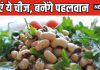 प्रोटीन की फैक्ट्री है यह सफेद दाल ! एक कटोरी खाने से बॉडी बनेगी चट्टान सी मजबूत, नस-नस में आएगी ताकत