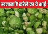 सावन-भादो में बस 25 दिन मिलेगी ये सब्जी, ताकत का है देसी खजाना, तुरंत नोट करें रेसिपी