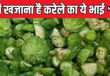 सावन-भादो में बस 25 दिन मिलेगी ये सब्जी, ताकत का है देसी खजाना, तुरंत नोट करें रेसिपी