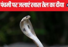 पितृ और कालसर्प दोष से मिलेगी मुक्ति, नाग पंचमी पर जलाएं इस तेल का दीया, पूर्वजों का मिलेगा आशीर्वाद