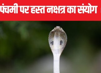 नाग पंचमी पर बन रहा हस्त नक्षत्र का संयोग, 2 राशि के जातकों के खुलेंगे भाग्य, नाग देवता का मिलेगा आशीर्वाद!