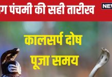 Nag Panchami 2024: नाग पंचमी कब है, 9 या 10 अगस्त? जानें सही तारीख, मुहूर्त, कालसर्प दोष पूजा समय, शिववास