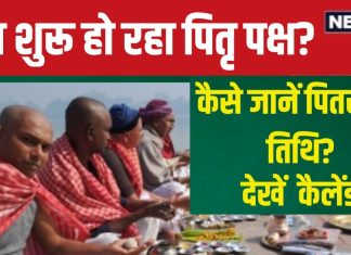 Pitru Paksha 2024: पितृ पक्ष में किस तिथि पर करें पितरों के लिए तर्पण? कैसे जानें उनकी तिथि, तारीख, पंडित जी ने बताया तरीका