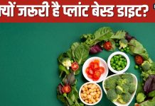 क्यों ट्रेंड में है प्लांट बेस्ड डाइट? हार्ट ही नहीं, ब्रेन की सेहत को भी रखता है दुरुस्त, जान लें 7 जबरदस्त फायदे